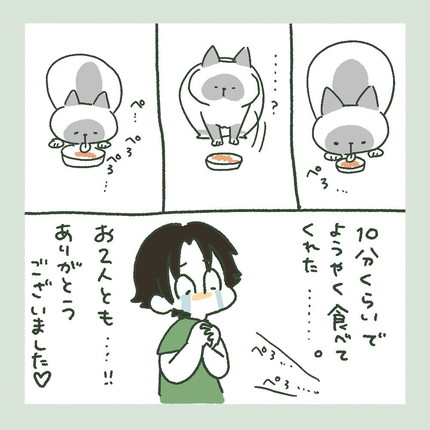 「ぽんずVSお薬」