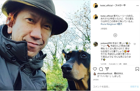 布袋寅泰 ルーリー 愛犬 命日