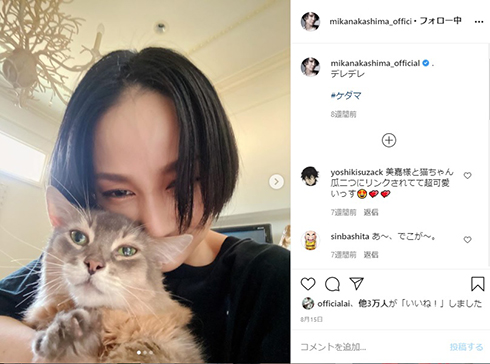 中島美嘉 ケダマ 愛猫