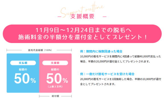 GOMOトラレル GoToトラベル 小学館 脱毛研究室 ポストセブンlab イ毛メン診断