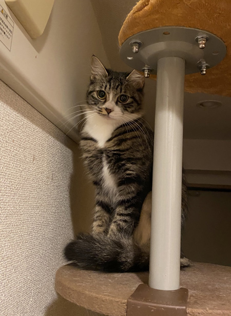 カーディガン着てる