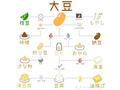 あれもこれも大豆でできてる　大豆から何ができるかをまとめた“豆知識”チャートがかわいくて分かりやすい