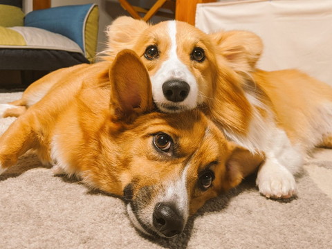 ちいくんとむうちゃん