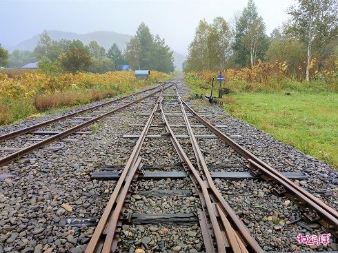 ポイントの上をゴトゴト進む