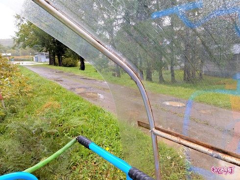 左右を確認して進みます