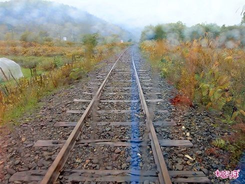 なお、雨の日の視界は本当に悪いので、注意して運転するようにしましょう。