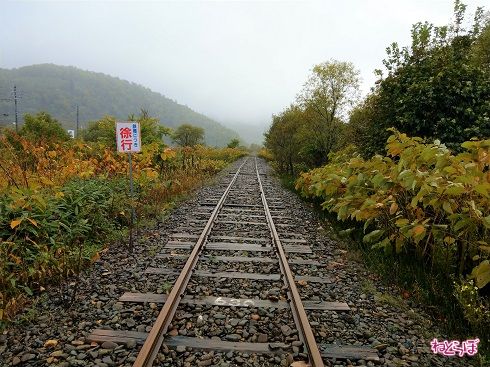 徐行の標識に従います
