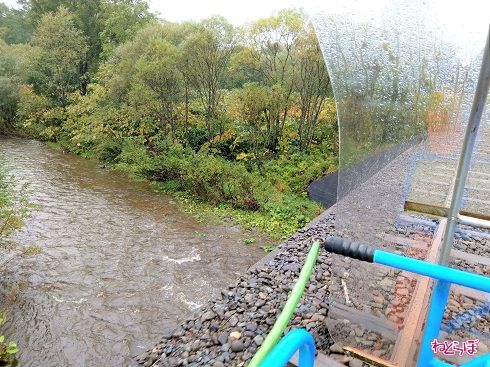 開放感があるため、ちょっとしたスリルを味わえます