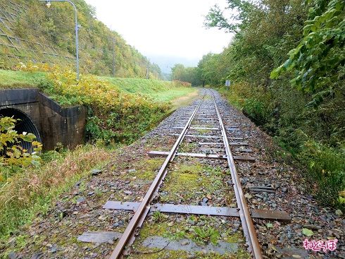 左側には道路が見えます