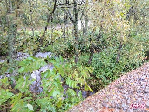 右手には川が目の前に！