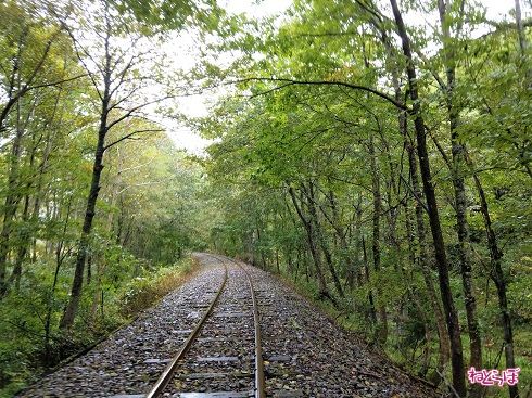 カーブを抜けるとまもなく終点