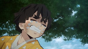 劇場版 鬼滅の刃 那田蜘蛛山編 無限列車編