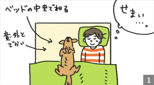 セミダブルベッドを買った結果