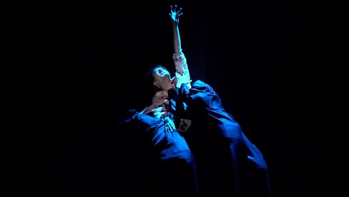 魔法使いの嫁 老いた竜と猫の国 まほよめ 工藤遥 舞台