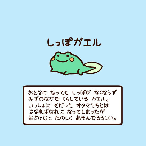 ゆるいキャラ図鑑 かわいい 生き物 イラスト 解説 高橋のぞむ