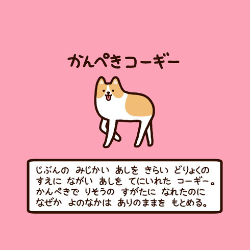 ゆるいキャラ図鑑 かわいい 生き物 イラスト 解説 高橋のぞむ