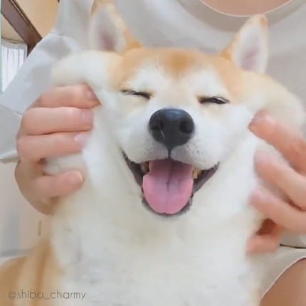 もちもちチャーミーちゃん