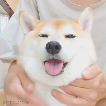 もちもちチャーミーちゃん