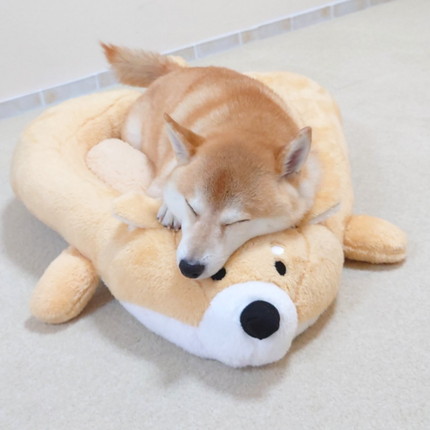 もちもちチャーミーちゃん