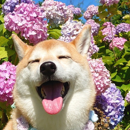 もちもちチャーミーちゃん