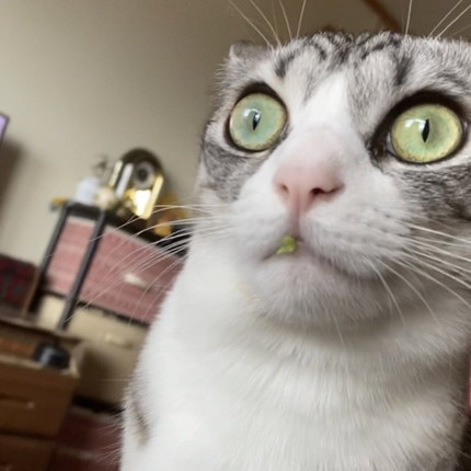 物的証拠つけてる月ちゃん