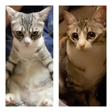 月ちゃんいろいろ