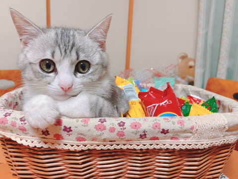 月ちゃんいろいろ