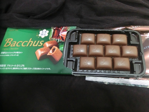 「ラミー」と「バッカス」2020