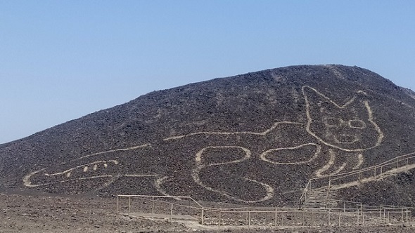 ナスカの地上絵ネコ