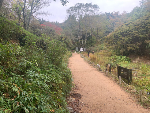 アート作品「木霊」を遠くから見たところ