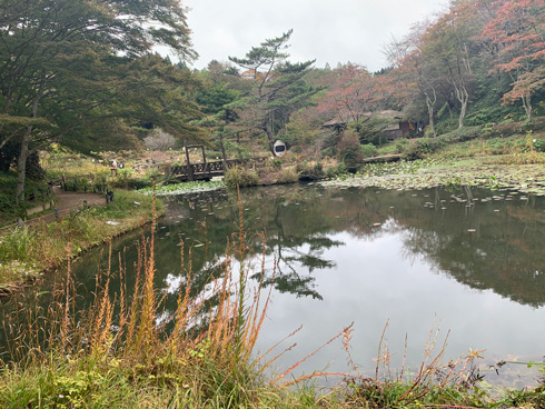 アート作品「木霊」の背後の池