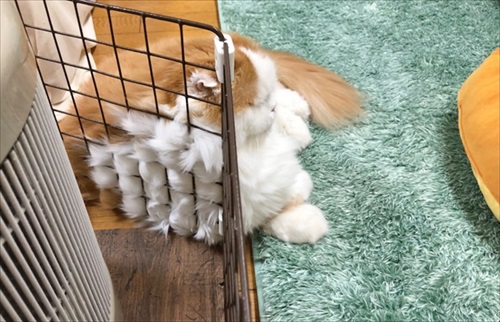 なめネコれおくんピーチくん