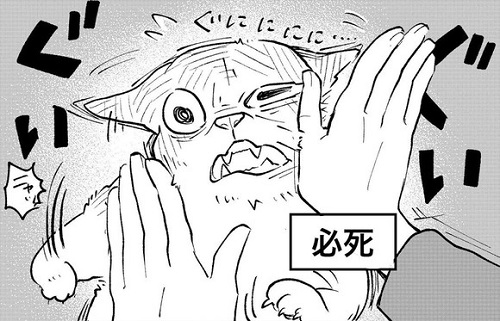 必死がかわいい