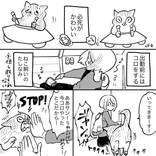 必死がかわいい