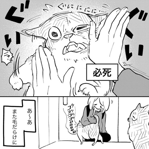 必死がかわいい