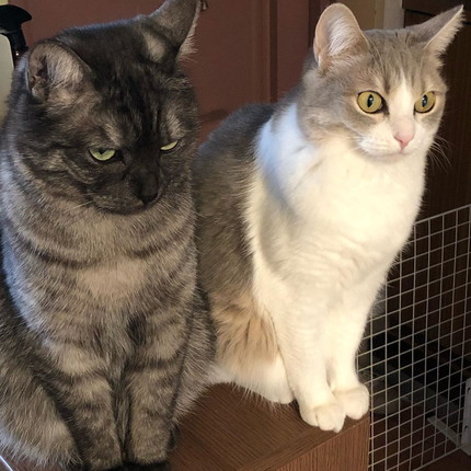 ジョナくんとサンちゃん