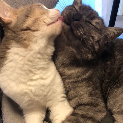 ジョナくんとサンちゃん