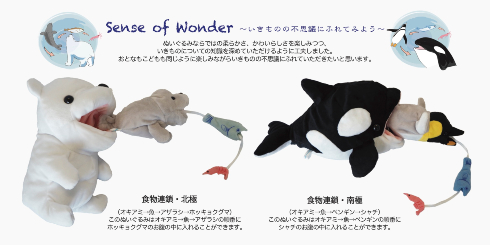 食物連鎖　北極・南極