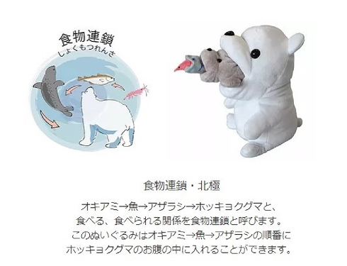 食物連鎖　北極・南極