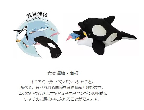 食物連鎖　北極・南極