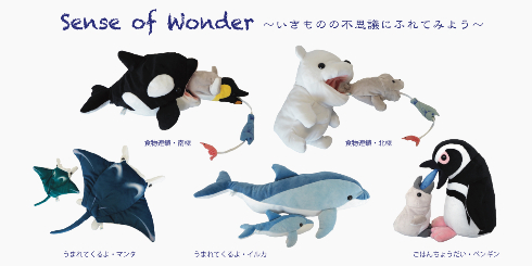 食物連鎖　北極・南極