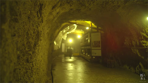どうくつ酒蔵 島崎酒造