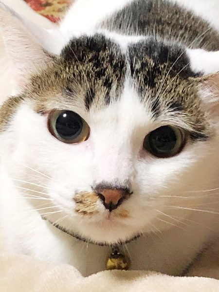 まるまるちゃんドアップ