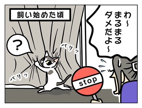 ふさふさ