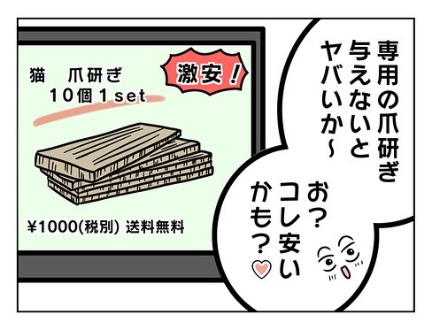 猫飼い初心者への洗礼2