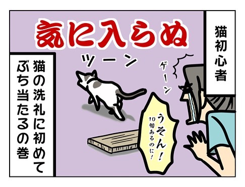 猫飼い初心者への洗礼3