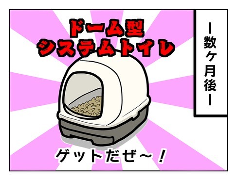 猫飼い初心者への洗礼5