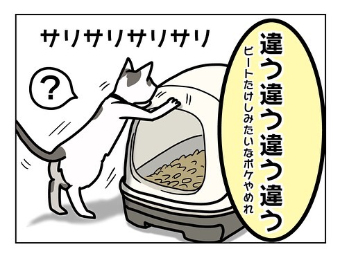 猫飼い初心者への洗礼7