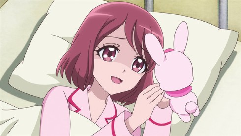 ヒーリングっど プリキュア アニメ ニチアサ