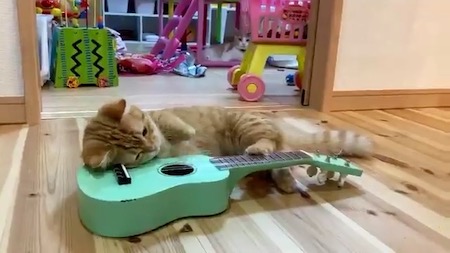 ヴィエナブロンズ　チェロを弾く猫ちゃん ヴィエナ・ブロンズの猫